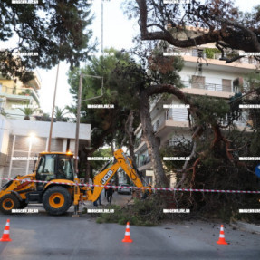 ΠΤΩΣΗ ΔΕΝΤΡΟΥ ΣΤΗΝ ΣΜΠΩΚΟΥ