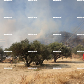 ΦΩΤΙΑ ΣΤΗΝ ΚΟΡΩΝΗ ΜΑΓΑΡΑ