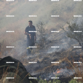 ΦΩΤΙΑ ΣΤΗΝ ΚΟΡΩΝΗ ΜΑΓΑΡΑ