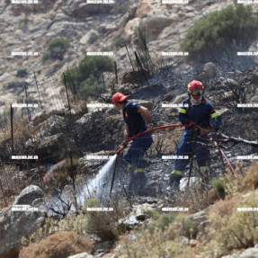 ΦΩΤΙΑ ΣΤΑ ΑΚΟΥΜΙΑ ΡΕΘΥΜΝΟΥ