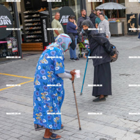 ΖΗΤΙΑΝΕΣ ΣΤΑ ΛΙΟΝΤΑΡΙΑ