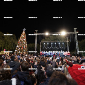 ΦΩΤΑΓΩΓΗΣΗ ΧΡΙΣΤΟΥΓΕΝΝΙΑΤΙΚΟΥ ΔΕΝΤΡΟΥ ΣΤΗΝ ΠΛΑΤΕΙΑ ΕΛΕΥΘΕΡΙΑΣ