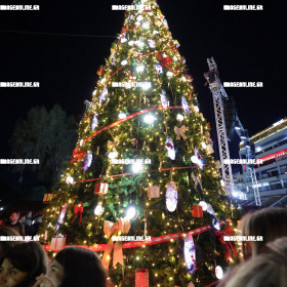 ΦΩΤΑΓΩΓΗΣΗ ΧΡΙΣΤΟΥΓΕΝΝΙΑΤΙΚΟΥ ΔΕΝΤΡΟΥ ΣΤΗΝ ΠΛΑΤΕΙΑ ΕΛΕΥΘΕΡΙΑΣ