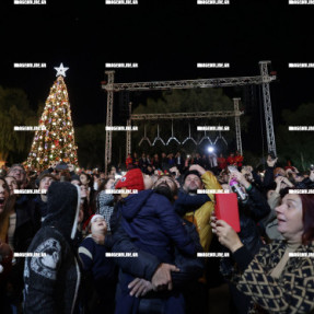 ΦΩΤΑΓΩΓΗΣΗ ΧΡΙΣΤΟΥΓΕΝΝΙΑΤΙΚΟΥ ΔΕΝΤΡΟΥ ΣΤΗΝ ΠΛΑΤΕΙΑ ΕΛΕΥΘΕΡΙΑΣ